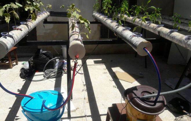 Connecting Skill, Passion, and People in Agriculture Sector in NW Syria 